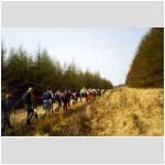 Along the Drovers Trail