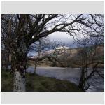 Along River Orchy 01